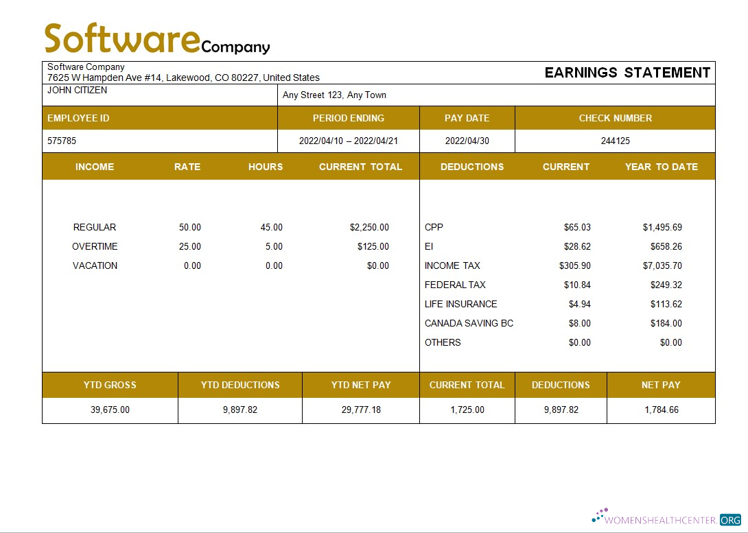 Download software company paystub template in Word and PDF formats Photoshop template